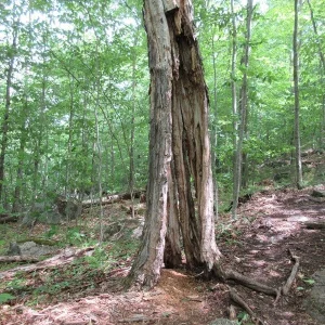 Rotten for the first 20'