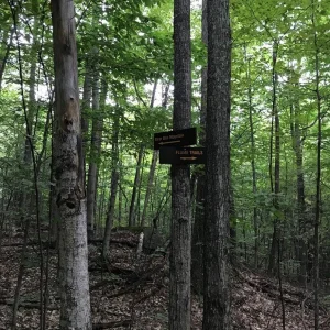 Easy to follow signage