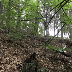 Sun trying to come out.