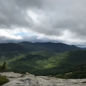 This would be beautiful in the fall