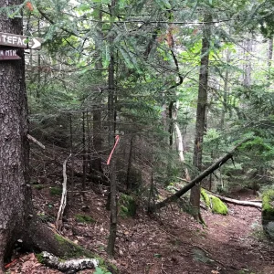 Trail to Whiteface?