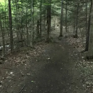 Early part of the trail.