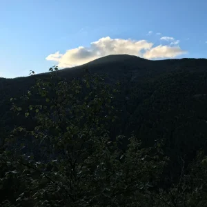 Cascade early morning