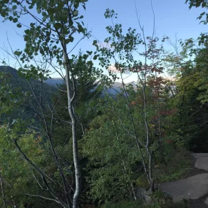 Views in the distance