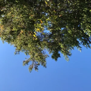 View from balanced rocks