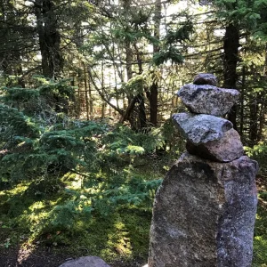 Morning sun coming through