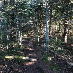 Ridge walk to summit