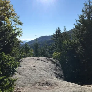 Looking east towards Owls Head