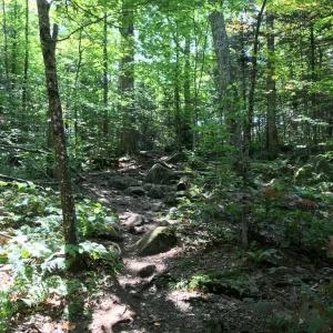 Trail Cobble Hill aptly named.