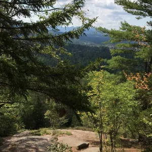 View of Lake Placid from top of scramble