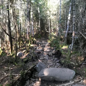 Most of the trail condition
