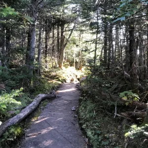 Walking down the ridge