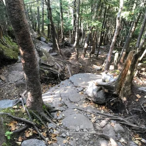 Looking down from steep section