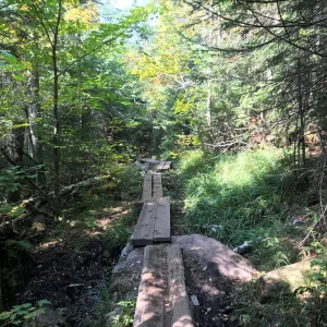 Along the Van Hoevenberg trail