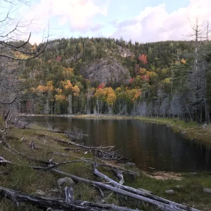 Colors and reflection