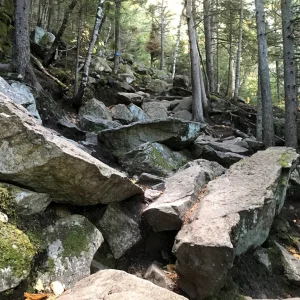 You like rocks, we got rocks