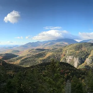 Panoramic