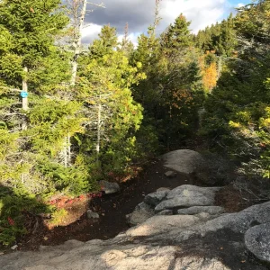 Back in the woods we go