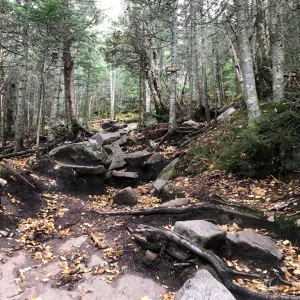 Did you want more rocks