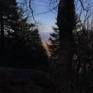 Beginning to get views