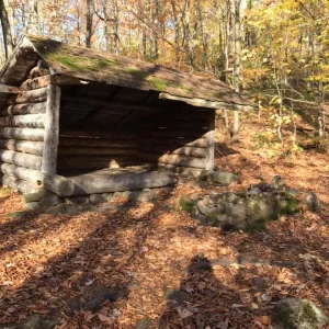 Lean-to in need of repair