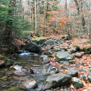 Lots of opportunities to filter