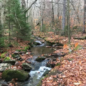One of several crossings