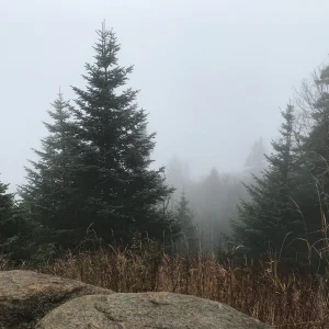 A walk in the clouds