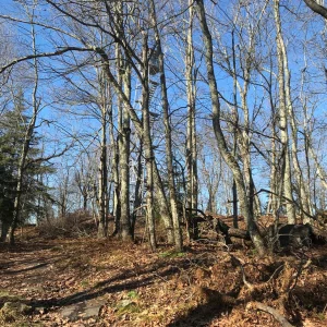 First view of tower.