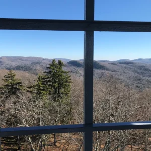 Views from tower cab