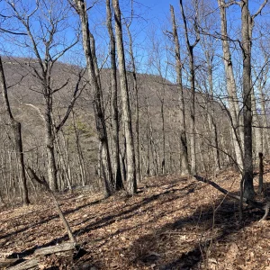 Shoulder of Short mountain