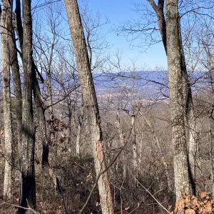 Starting to get views