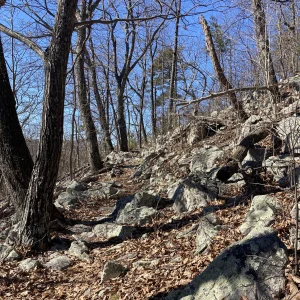 Starting to be the norm