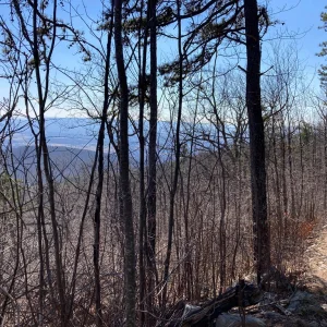 Starting to get views