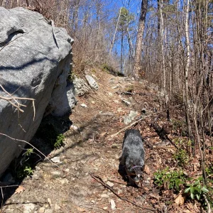 Misty doing the sniffs