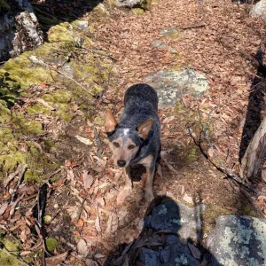 She's enjoying her outing