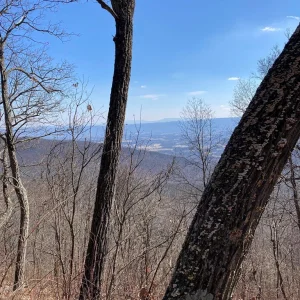 Views are getting better.