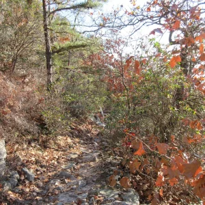 Some of the trail conditions