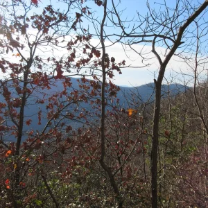 Looking towards Buzzard Rock