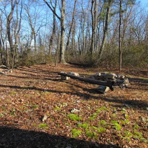 First campsite on ridge