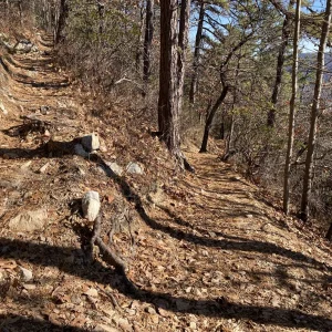 Switchback, one of many.