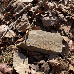 Some kind of geologic glitter.