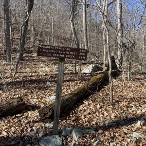 Another yet junction.