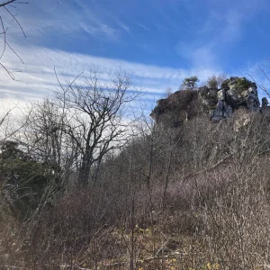 Big Schloss from the north