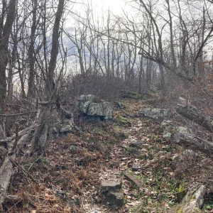 Big Schloss in the distance