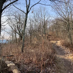 Early morning shadows