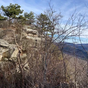 Looking back at Big Schloss