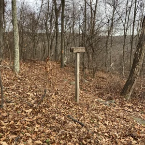 Lookout I just came from