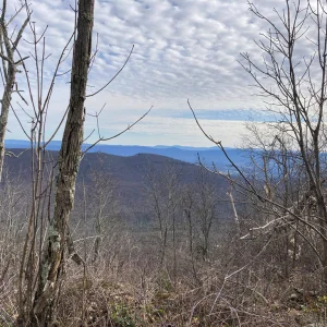 Rising up on the ridge