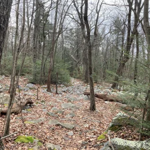 Rock field the trail went through